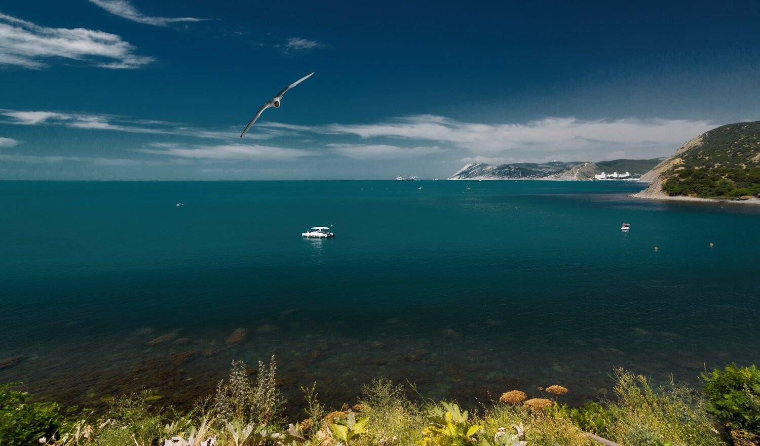 , Алексей Рыльский