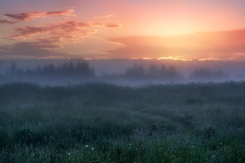 /Подмосковное утро.../ г. Чехов 