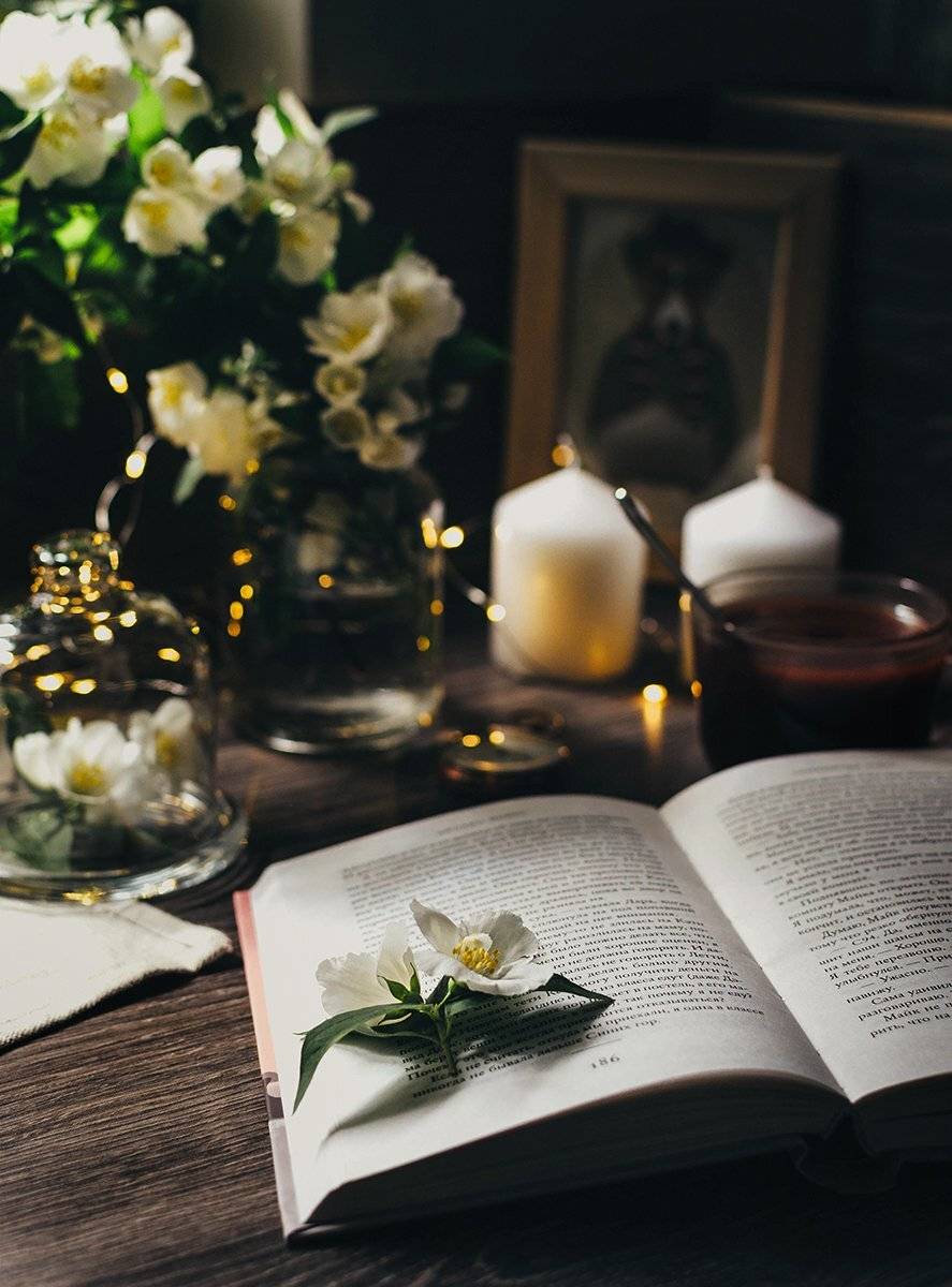 , Чернякова Анна