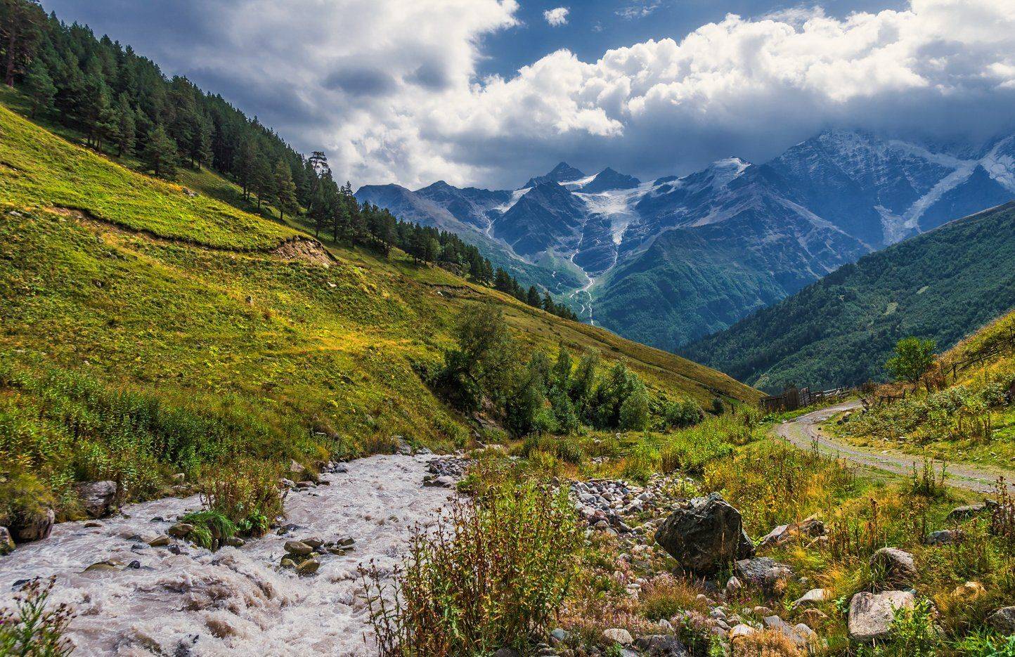 , Игорь Мелекесцев