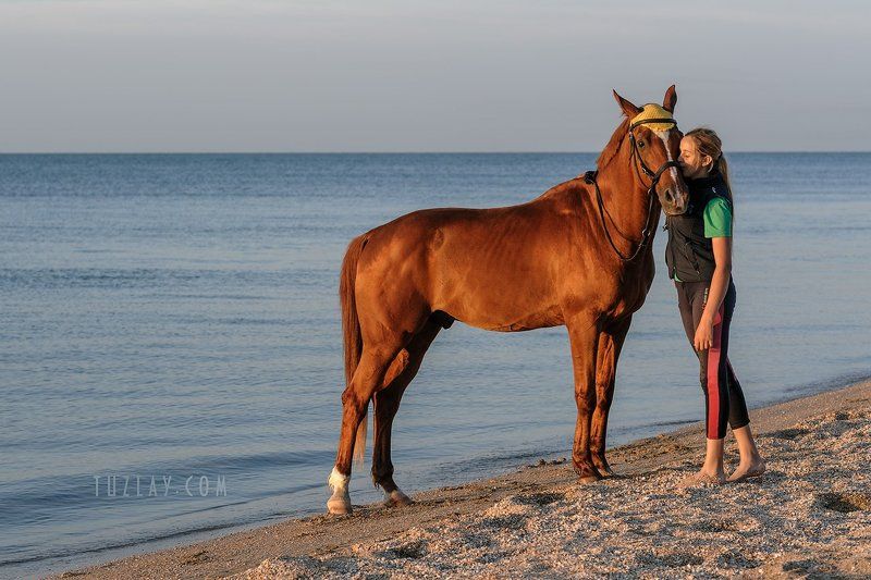девушка и конь, лошади, азовское море Её гнедой друг фото превью