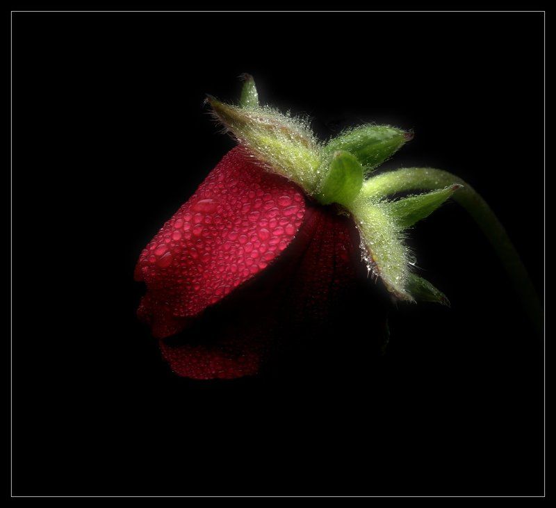Настроение #53 фото превью