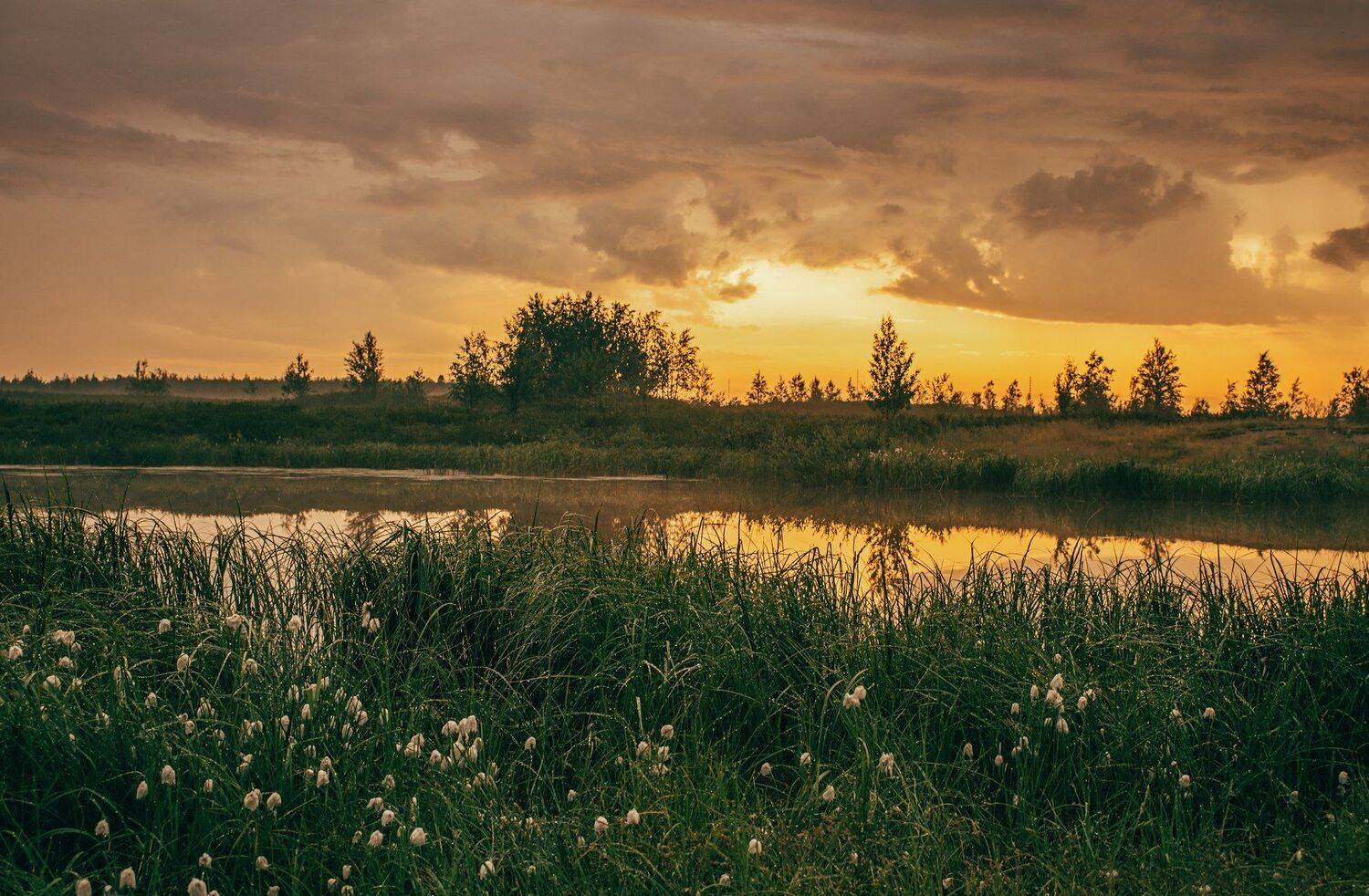 ямал , сибирь, природа, салехард , рассвет, ямал, Настя Братка