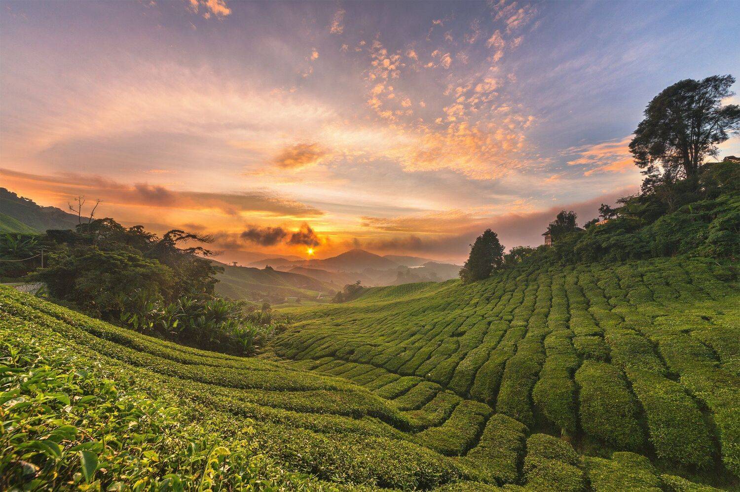 , Михаил Туркеев