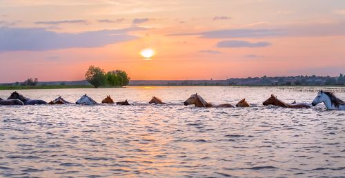 Переправа через реку