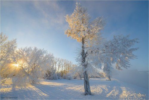 Морозное утро