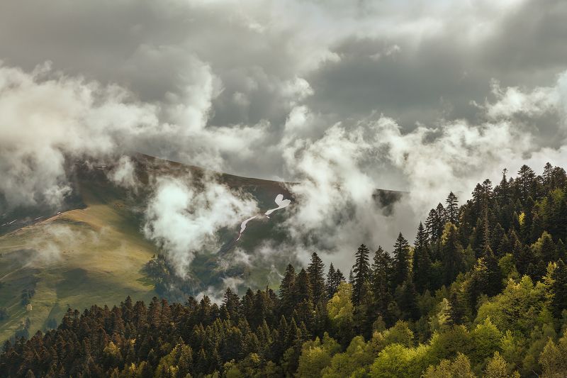 природа, россия, горы, рассвет, архыз, путешествие, travel, russia, landscape, nature, природа россии Облачный Архыз фото превью