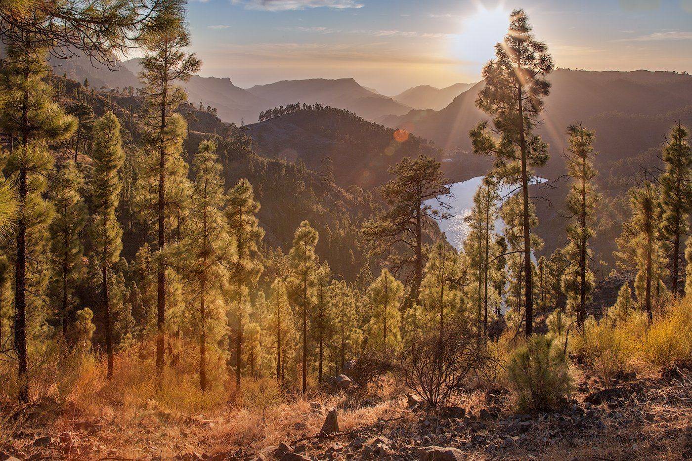 испания, канарские острова, горы, лес, закат, солнце, деревья, Андрей Огнев