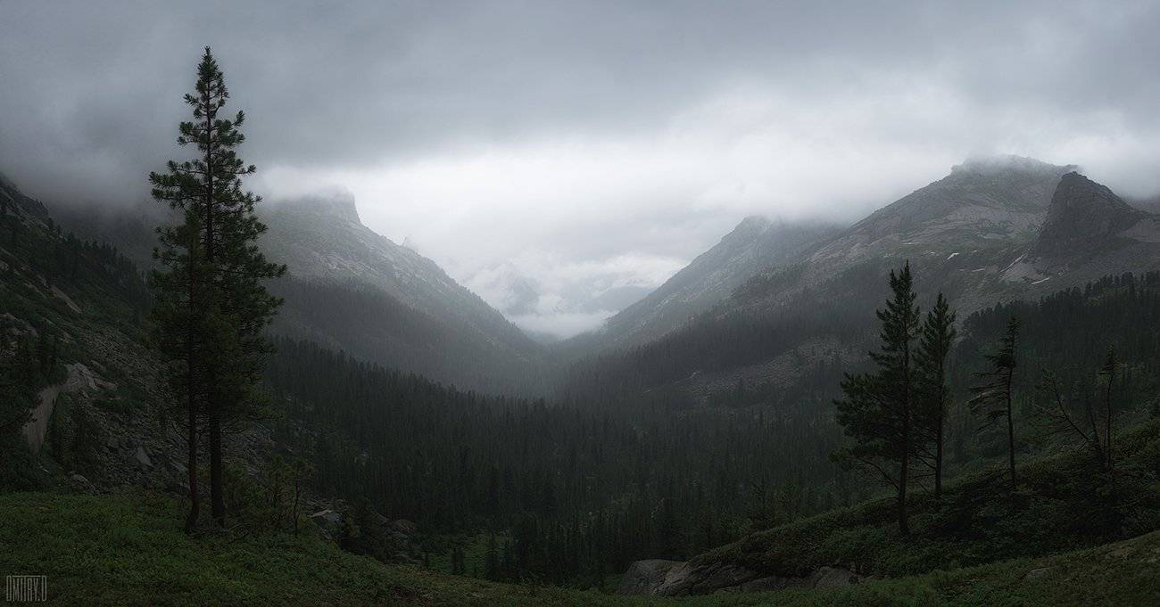 ергаки, пейзаж, дождь, горы, лес,, Дмитрий Доронин