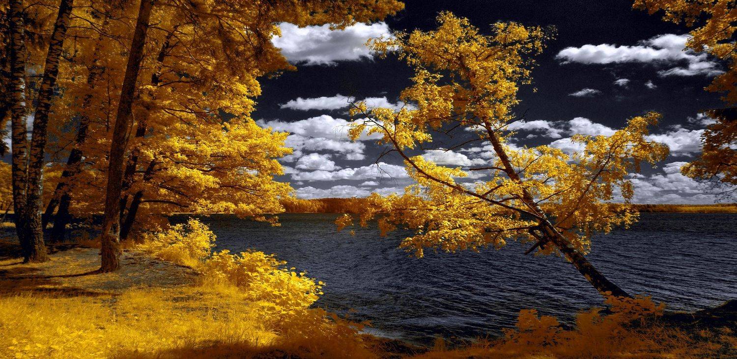 infrared,ик-фото,инфракрасное фото,инфракрасная фотография,пейзаж,природа,беларусь,лето, Sixten ( Сергей )