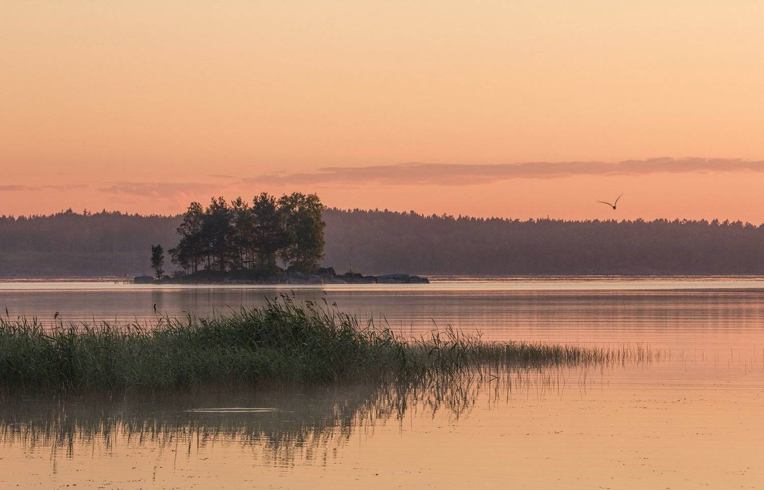 ладога,залив щучий,о.бурнев, alexOmRam