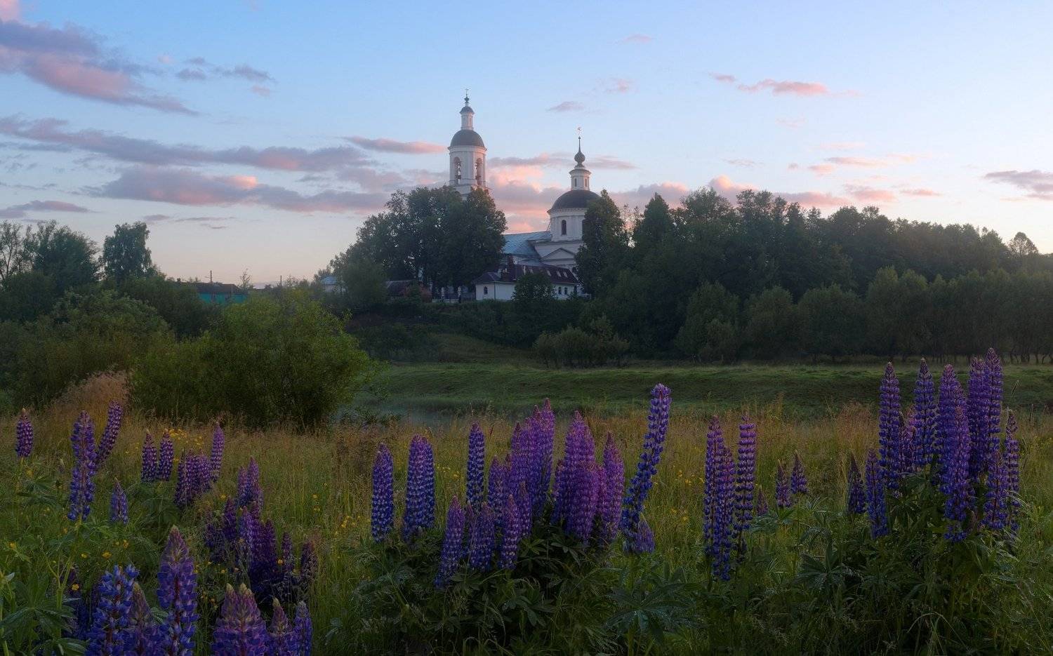 , Александр Пархоменко