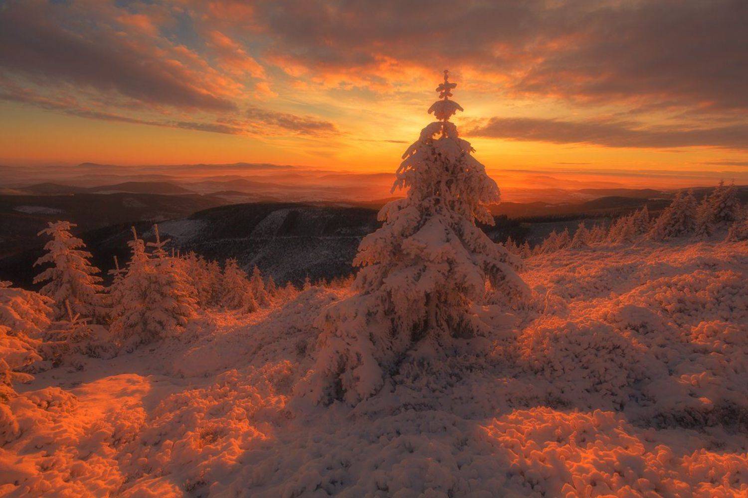 landscape,canon,winter,awakening, Iza,Darek