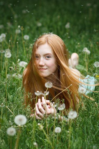 одуванчиковое настроение