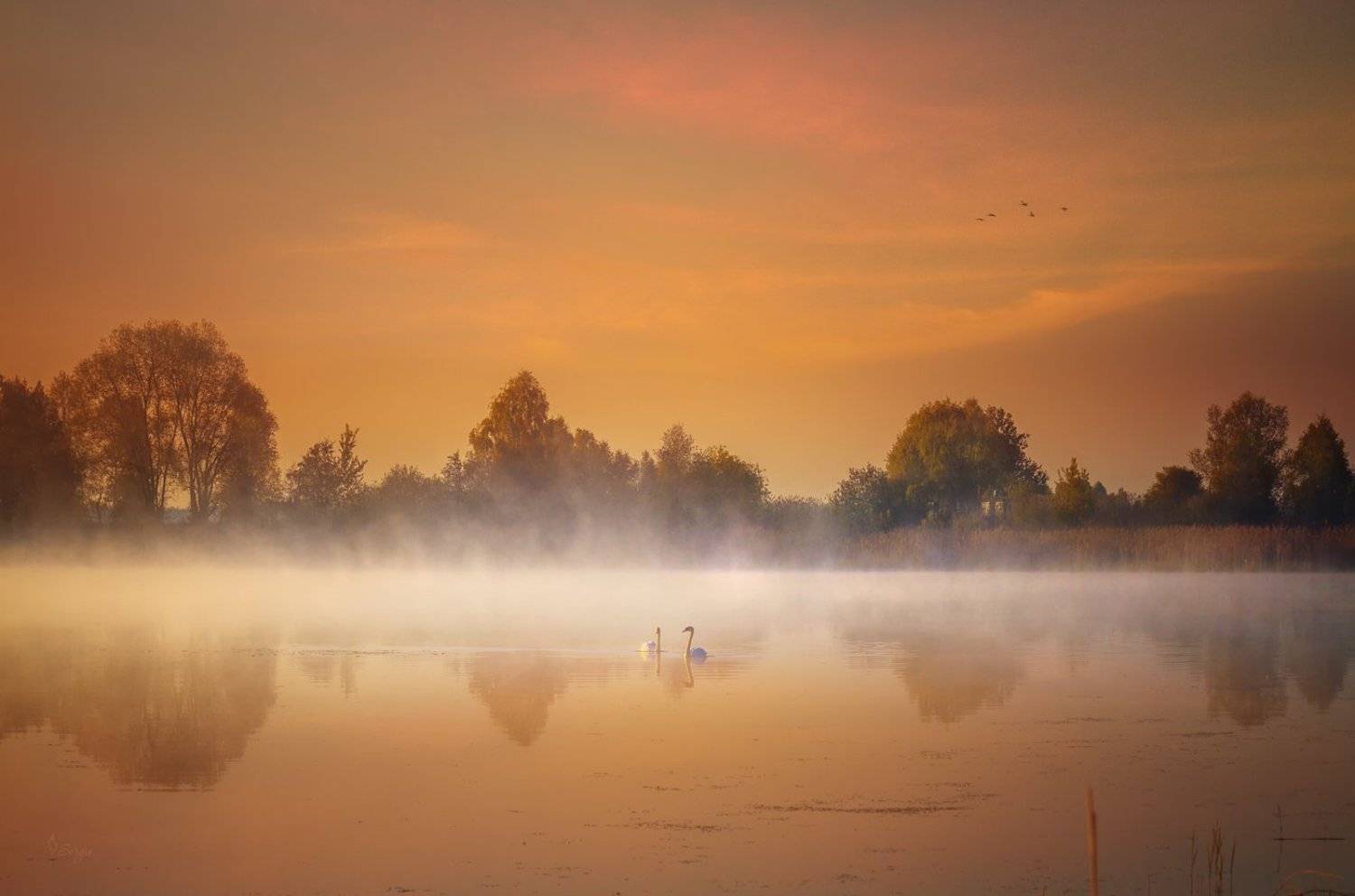 Беларусь, Серж Домбровский