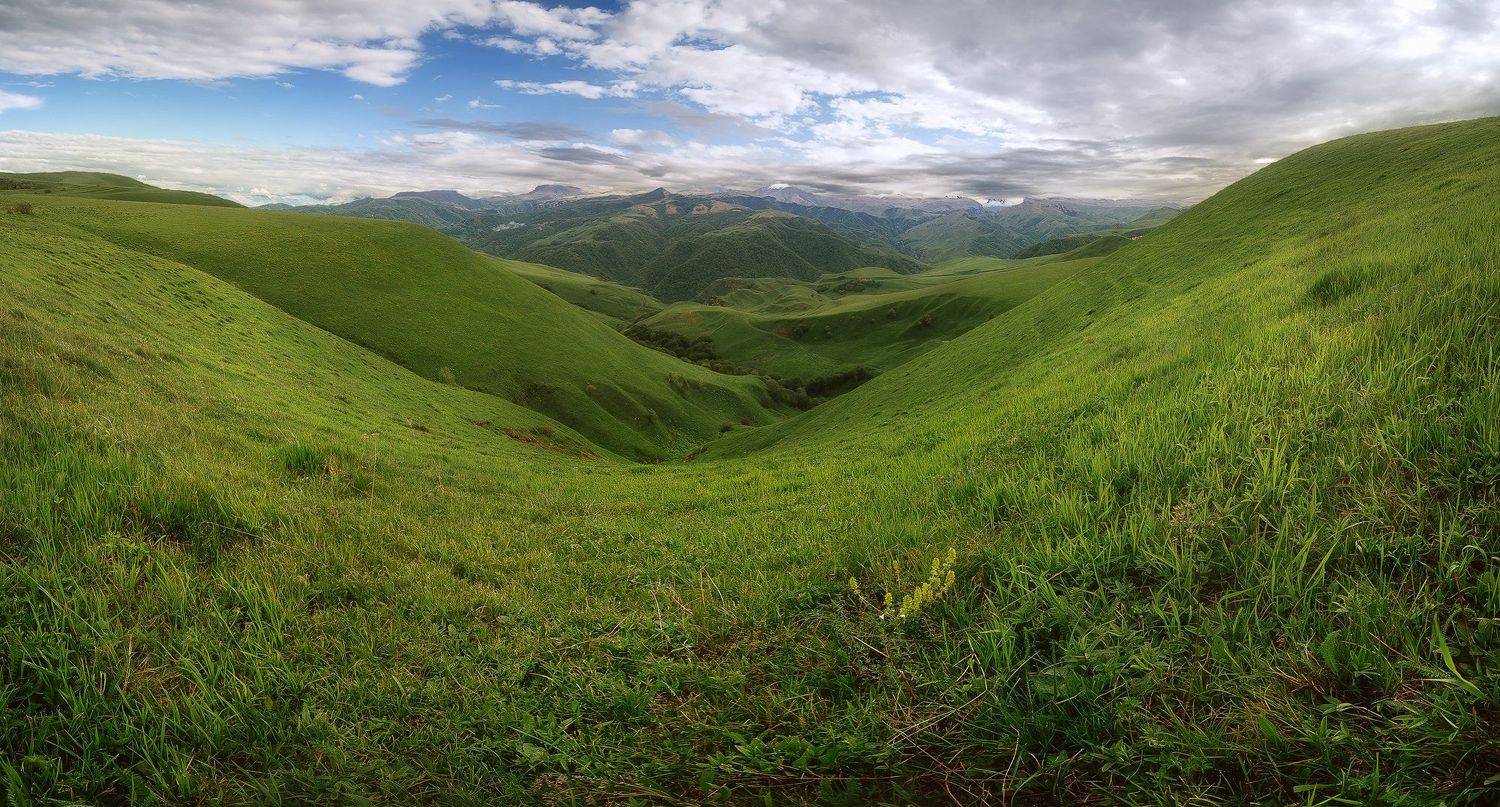 , Эльдар Гуртуев