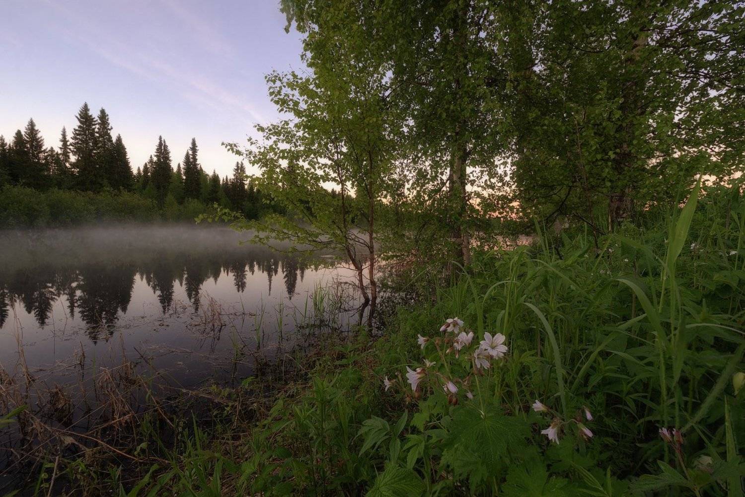 печора,коми,север,белые,ночи, Игорь Подобаев