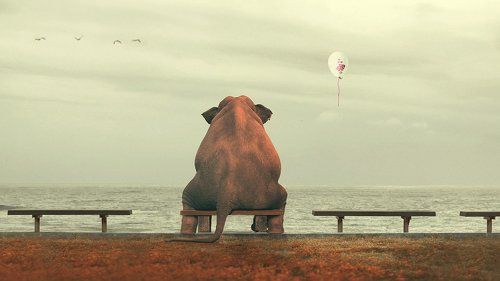 Любовь - это..