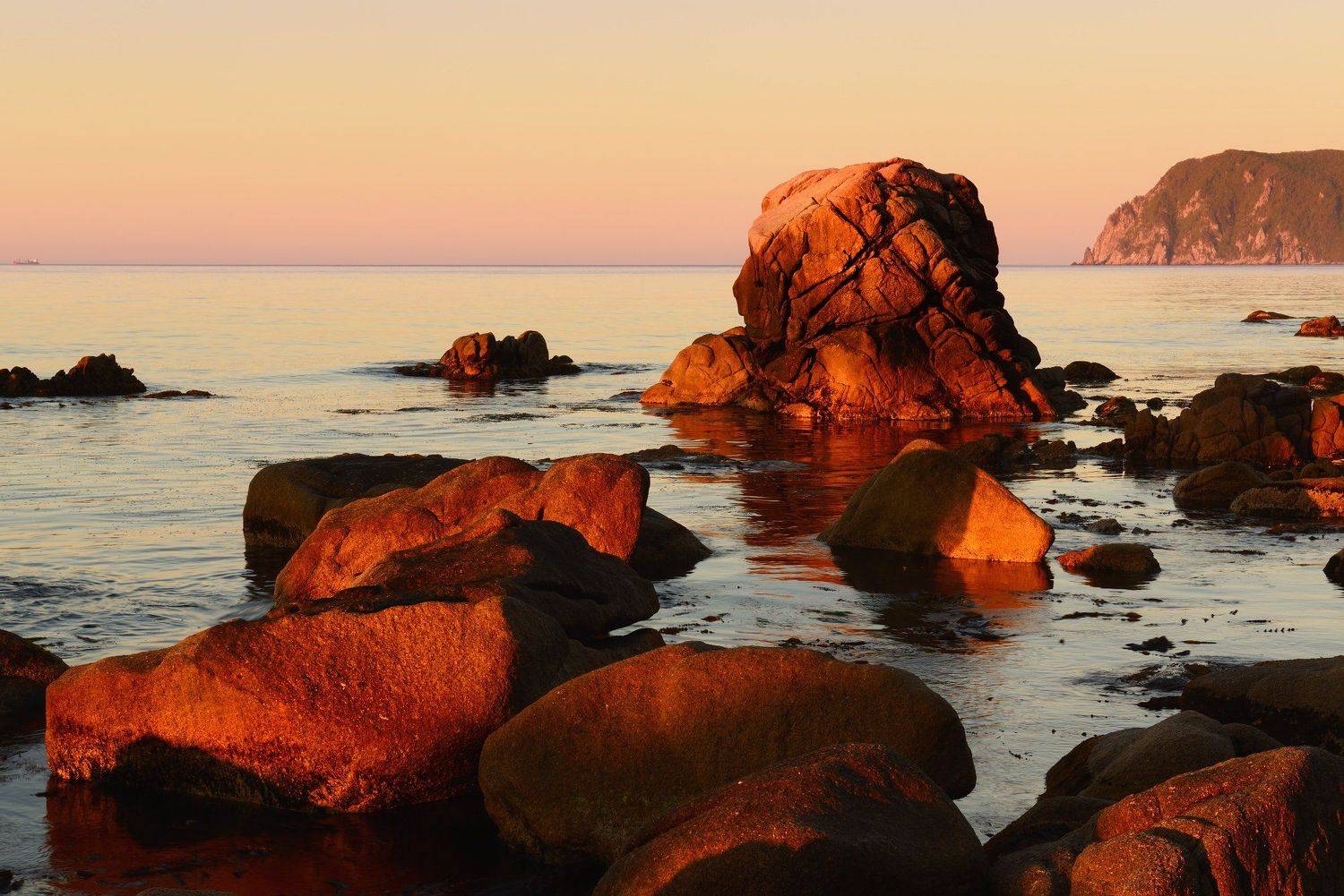 , Максим Евдокимов (www.wildphotorus.ru)