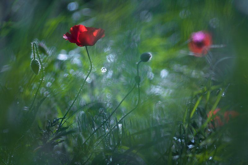 Morning moments фото превью