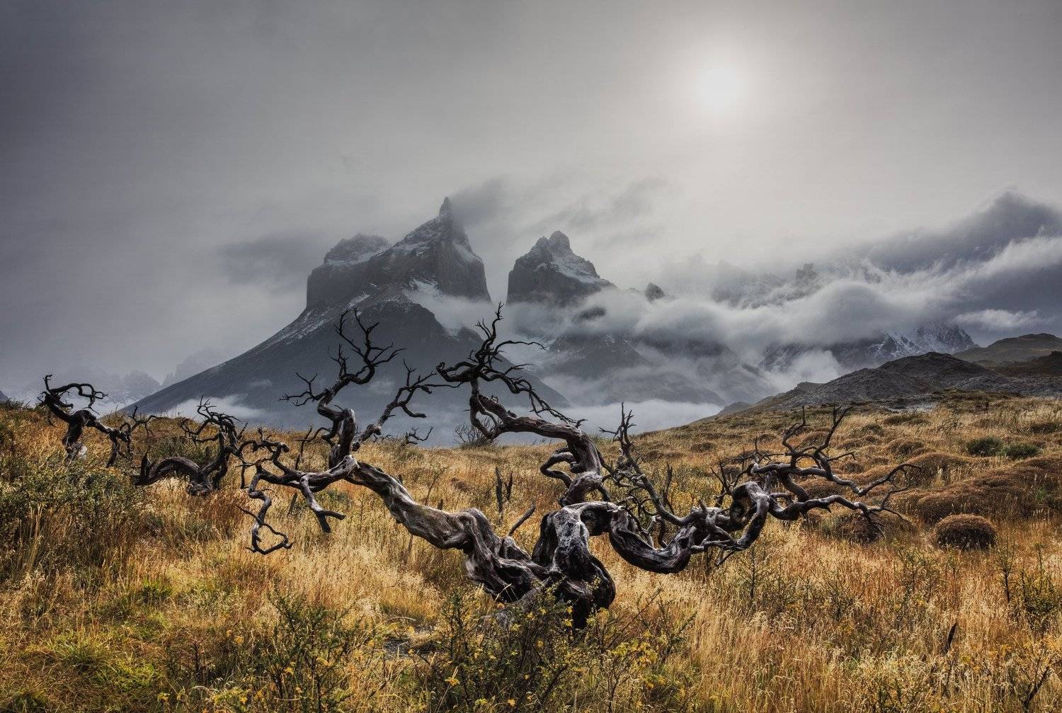 патагонии, чили,, Алексей Сулоев