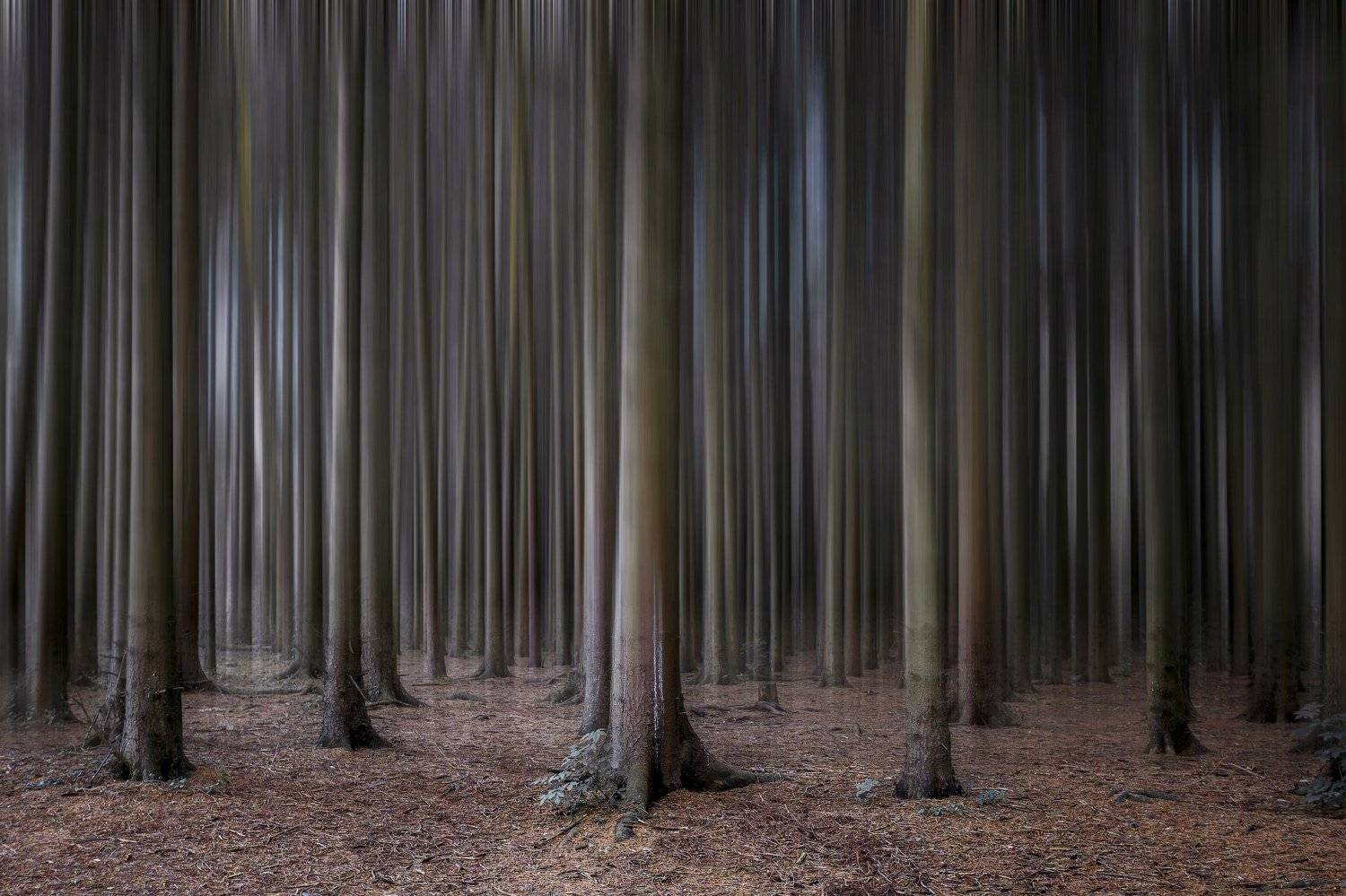 , Рашид Хайданов