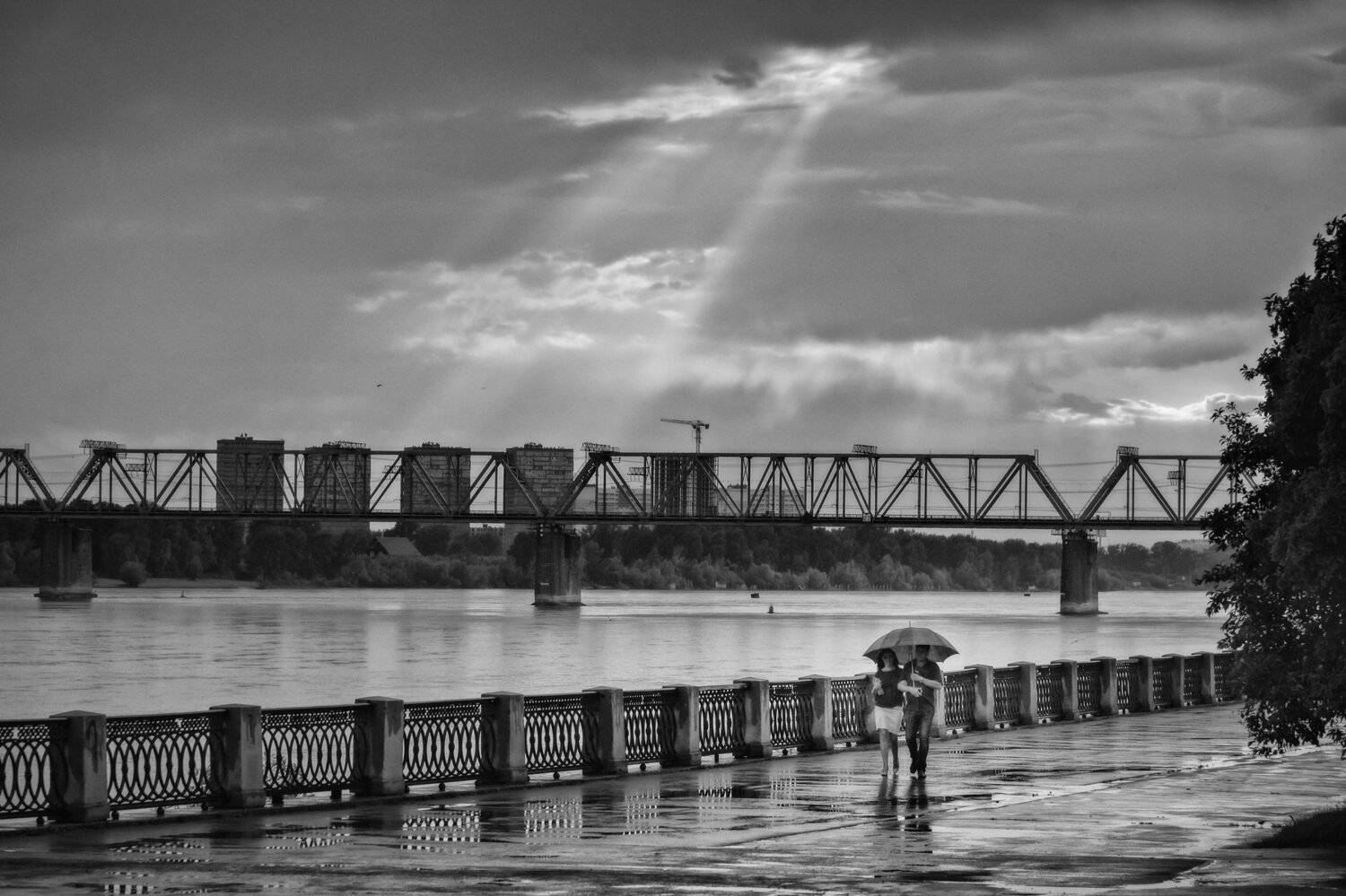 новосибирск, Андрей Поляков