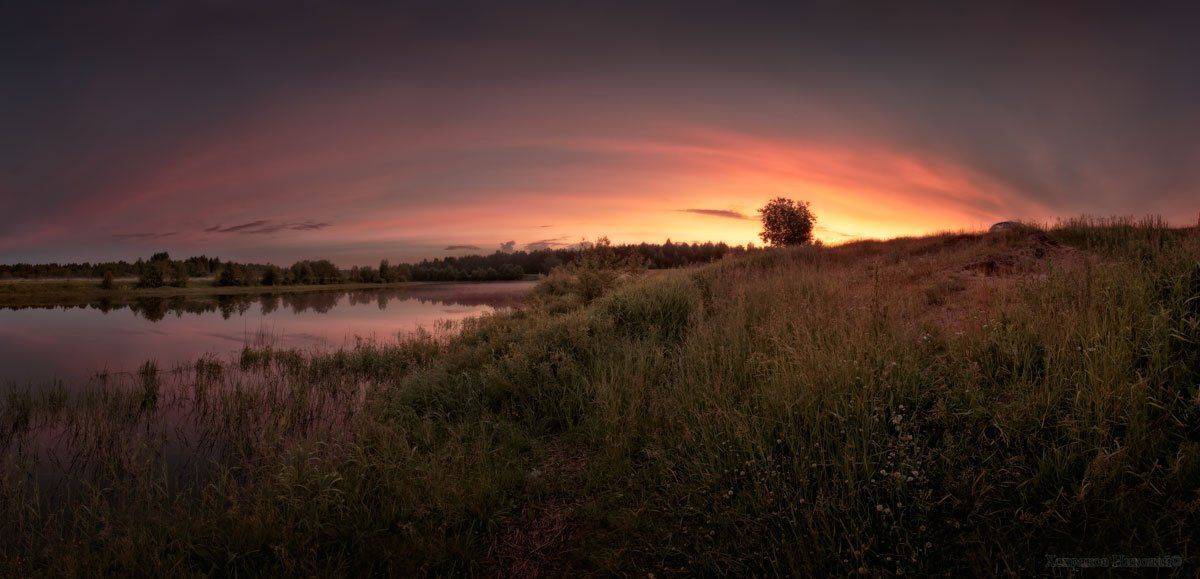 , Хохряков Николай