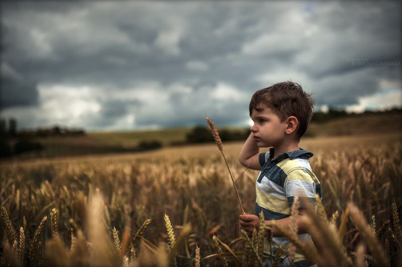 лето и непогода.. фото превью