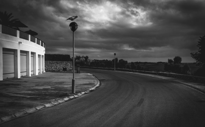 street, bw ,light, guidance, road ,asphalt, monochrome, crow ,outdoors Crow.. фото превью