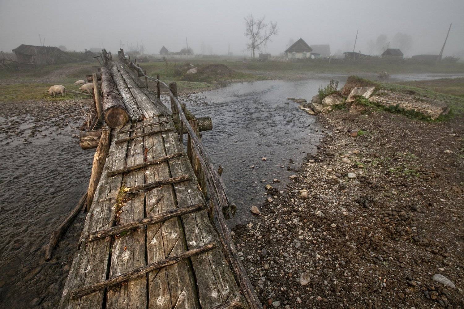 алтай, горы, туман, Любовь Фурс