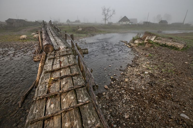 алтай, горы, туман Мостик таежной деревни фото превью