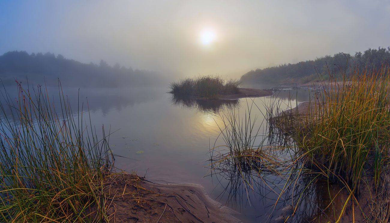 туман осень молога река, Марина Мурашова