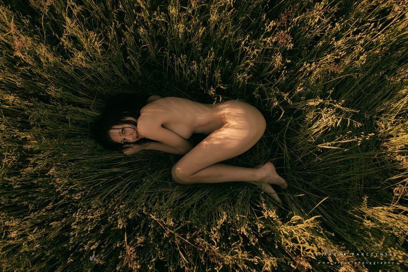 Lost фото превью