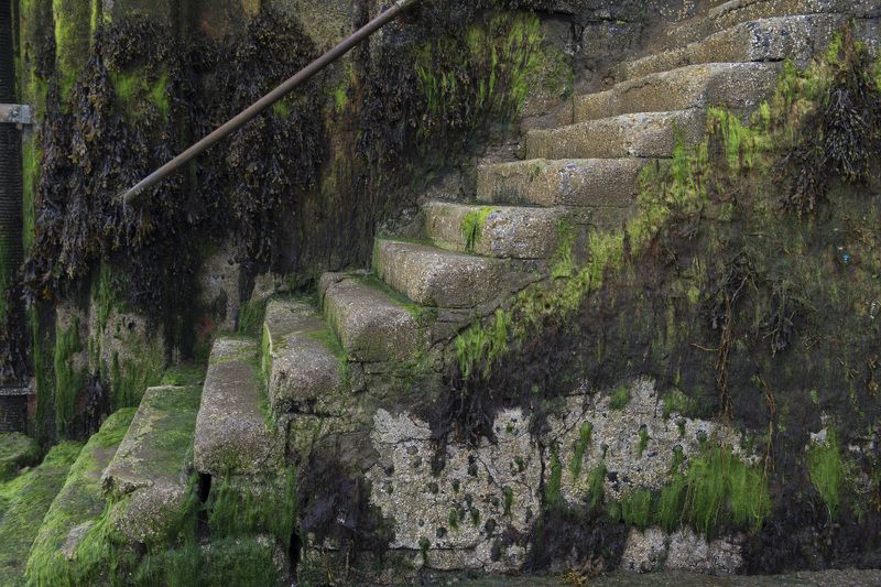 шотландия *** фото превью