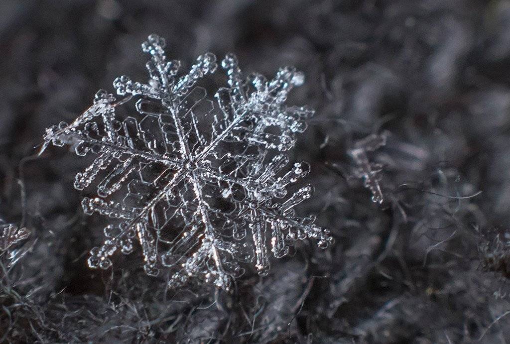 , Павел Сагайдак