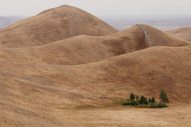 Оазис фото превью