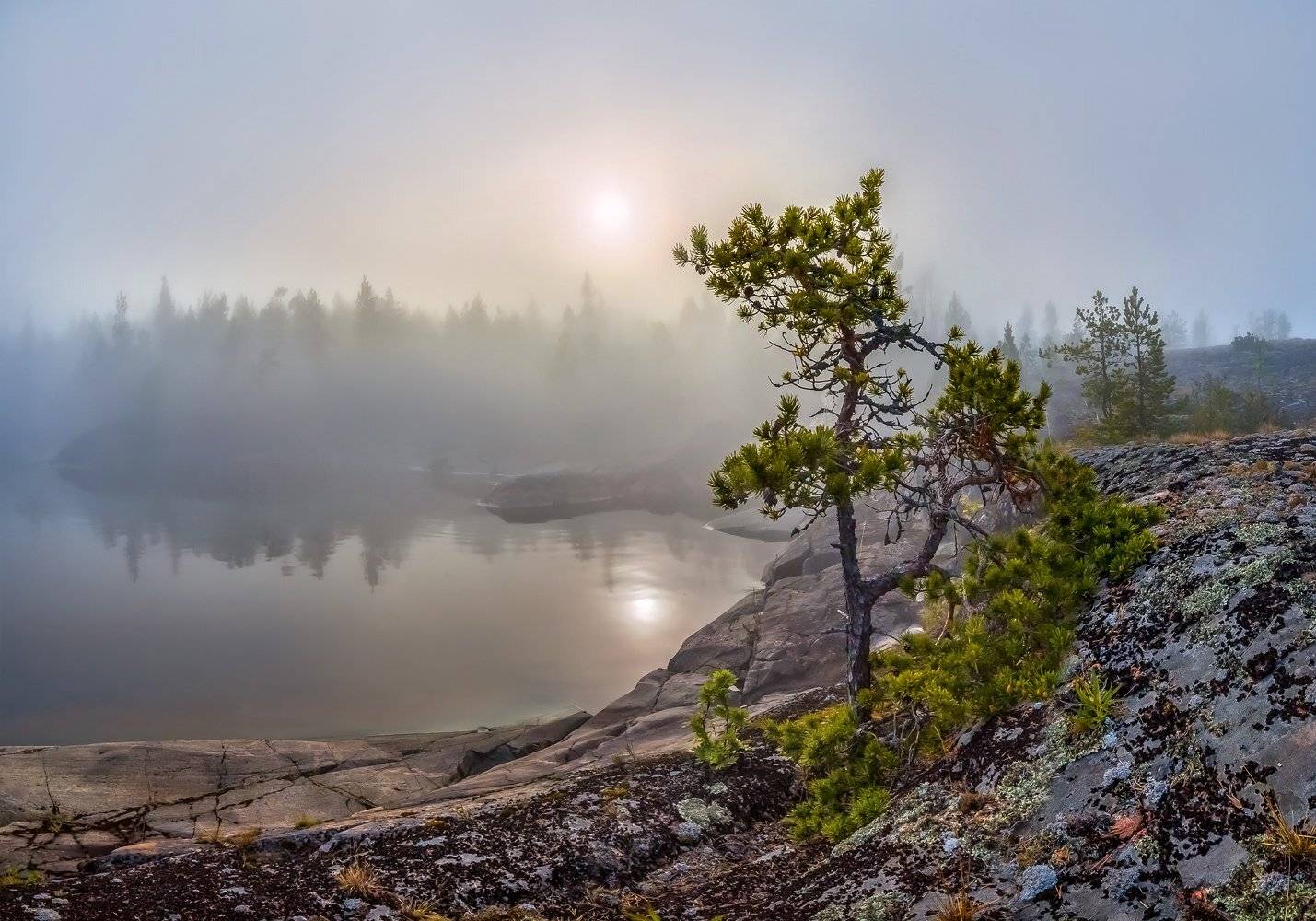 ладожское озеро, карелия, шхеры, лето, туман, скалы, лес, сосна, берег, фототур, остров, камни, путешествие, плавание, вода, отражение, солнце,, Лашков Фёдор