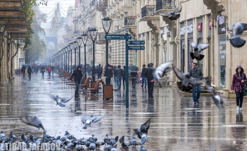BAKU BAKU фото превью
