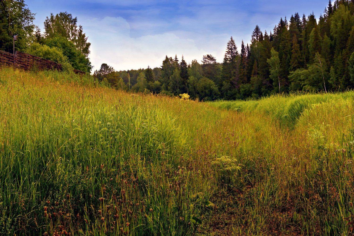 , Владимир Симакин