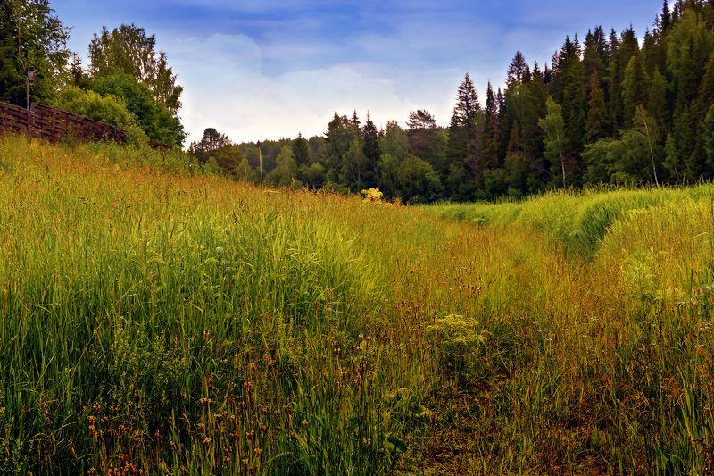 ле. фото превью