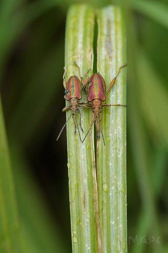 Мы с приятелем вдвоём