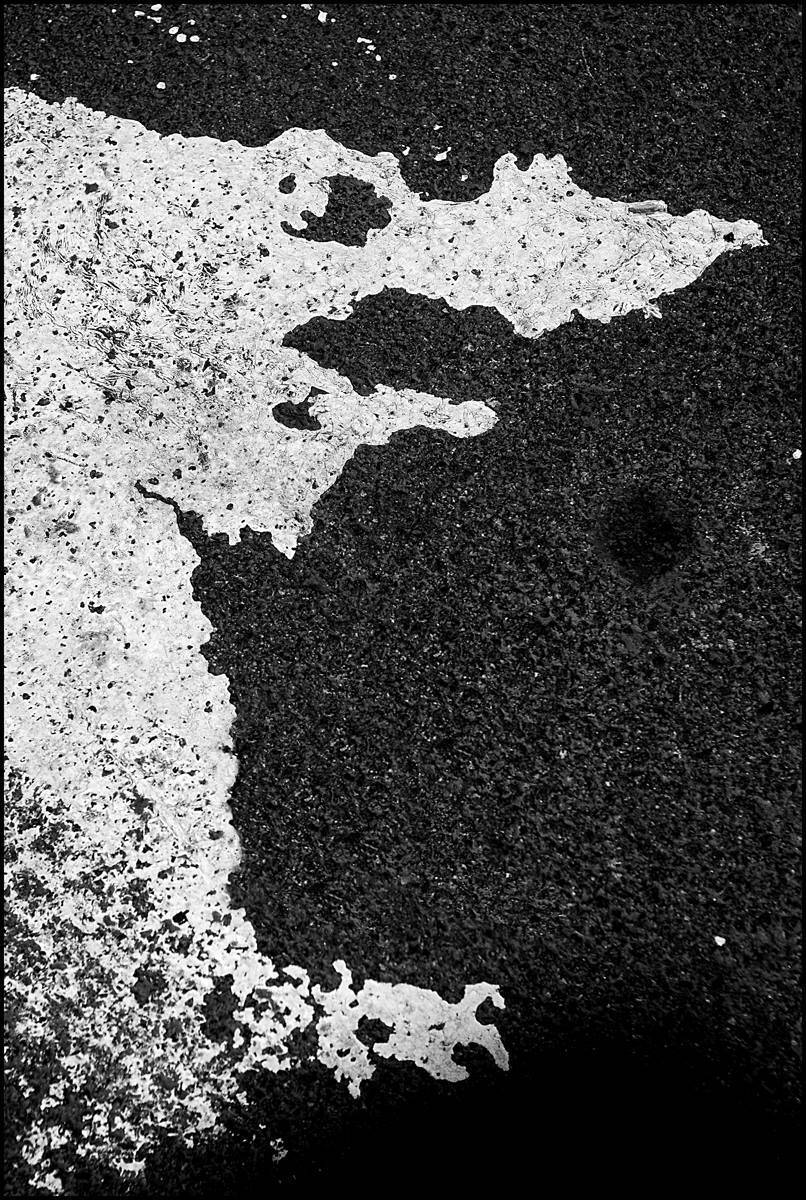 , ПОЛУЕВ ИЛЬЯ