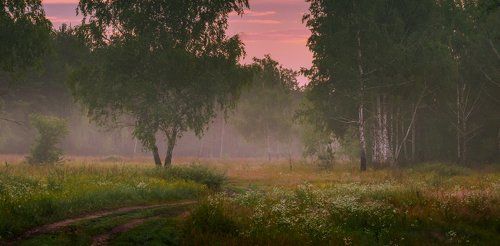 Есть что-то грустное и в розовом рассвете