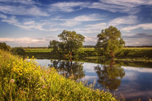 Летний вечерок
