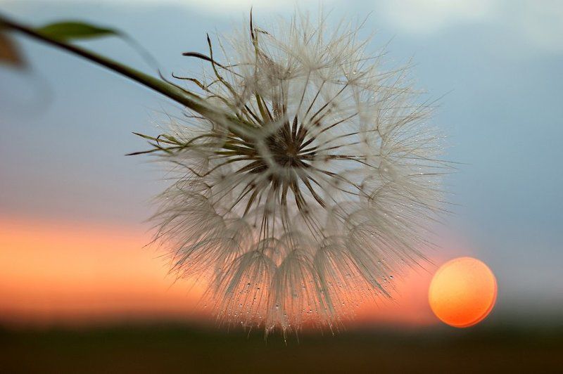 Настроение на закате. фото превью