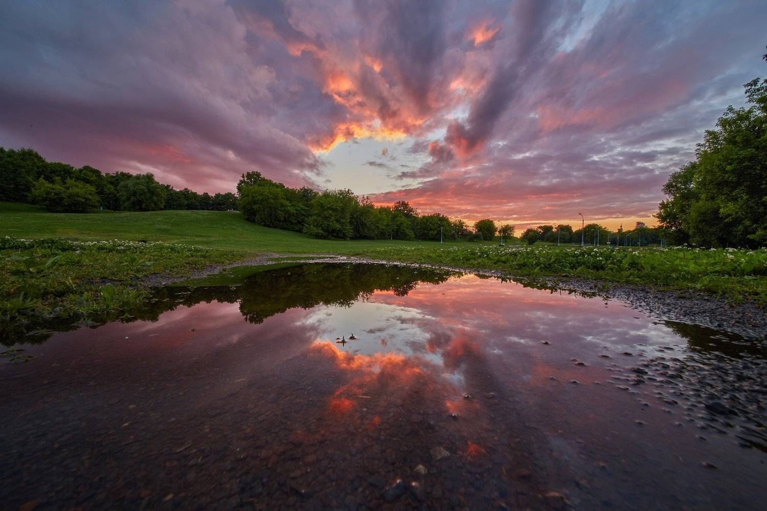 закат, парк, отражение, лужа, свет, красота, Коломенское , Конев Сергей