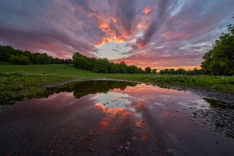 закат, парк, отражение, лужа, свет, красота, Коломенское  Просто лужа в парке фото превью