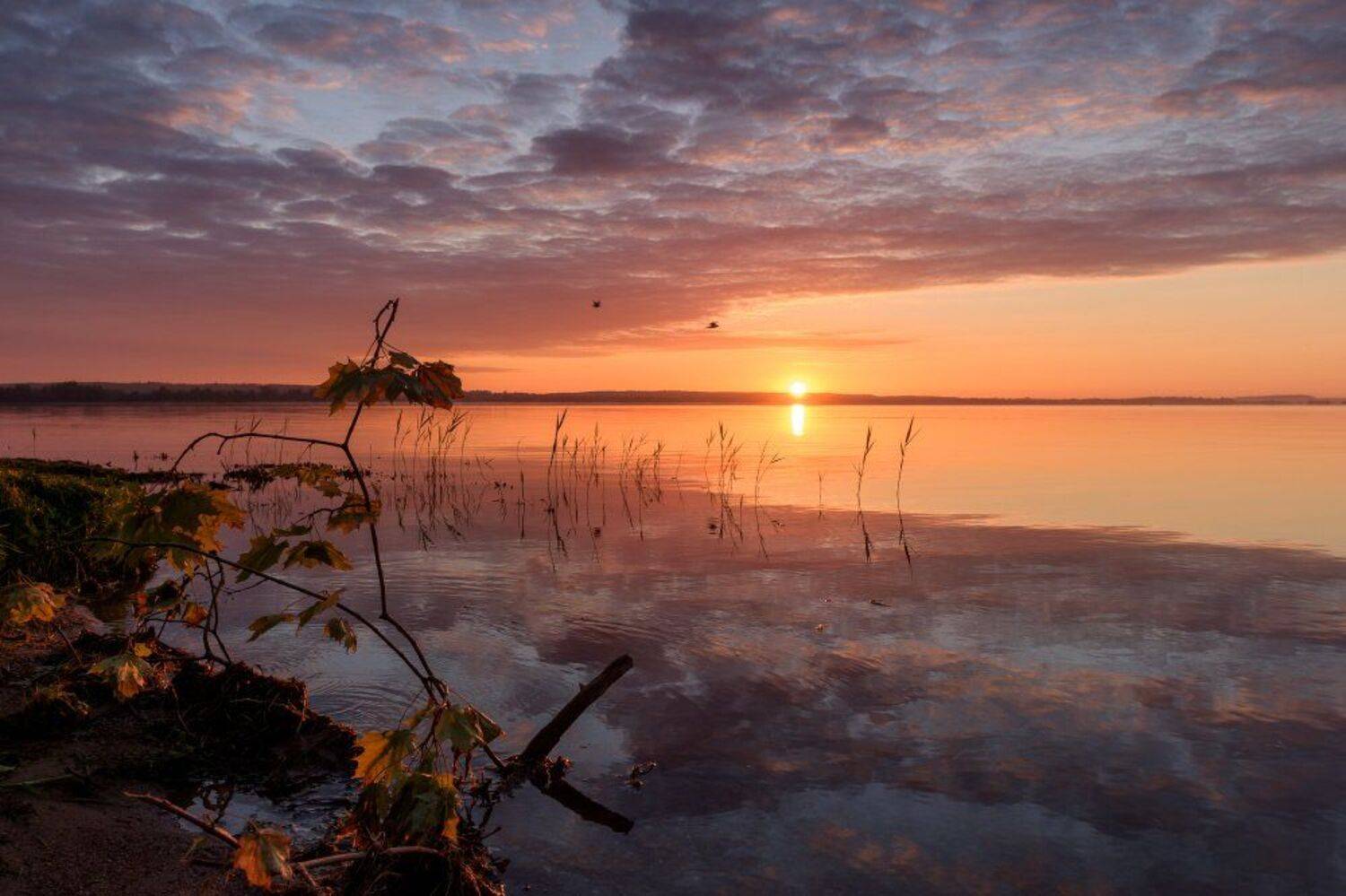 утро,рассвет,отражение,трава,небо,облака,лето, Юлия Лаптева