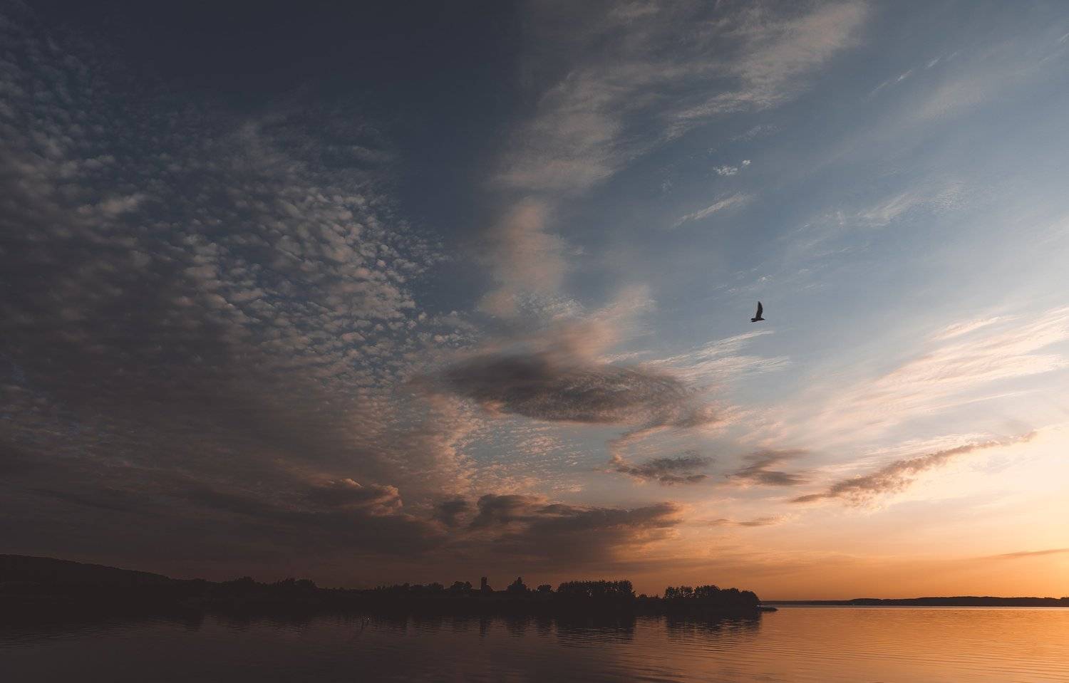 , Астрид Екатерина